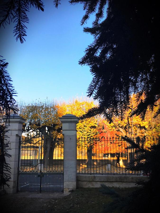 Manoir 1838 A - 3 Km Du Zoo De Beauval & Proche Des Chateaux Saint-Aignan  Luaran gambar